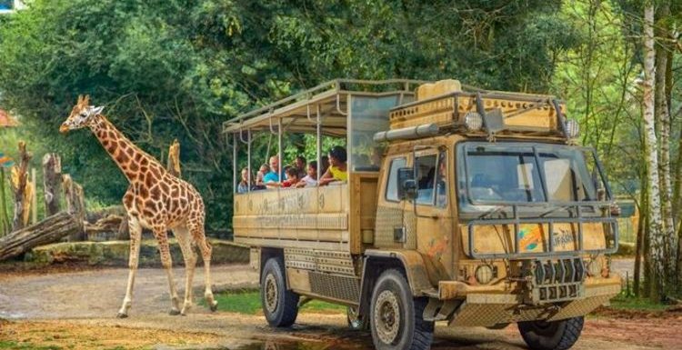 Chessington World of Adventures slash over 20 percent off tickets – how to get deal