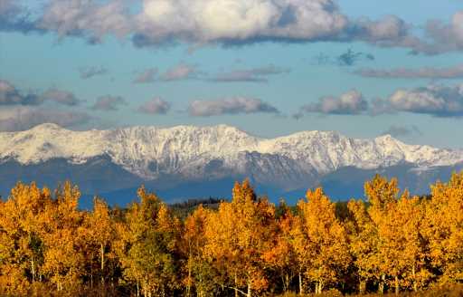 Fall foliage update: Peak #Fallorado is coming soon in northern Colorado