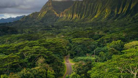 Honolulu city officials vote to remove 'Stairway to Heaven'