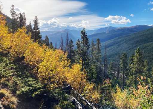 Scenic drives for leaf-peeping, fall colors in Colorado