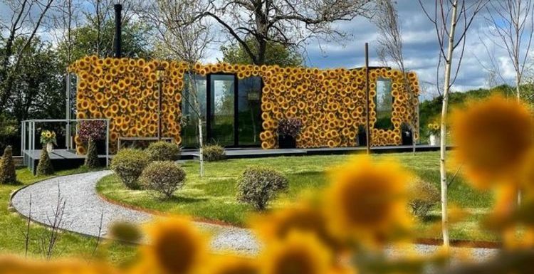 Stay in the world’s first sunflower hotel in North Yorkshire for a unique staycation