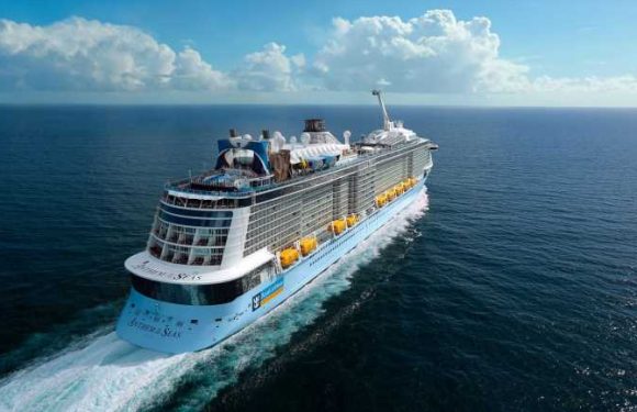 Vicki Freed: Royal Caribbean free-cruise incentive crashed the ASTA website