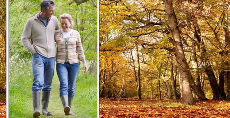 ‘Incredible’ outdoors hidden gems to take on the changing colours – ‘this place is a dream