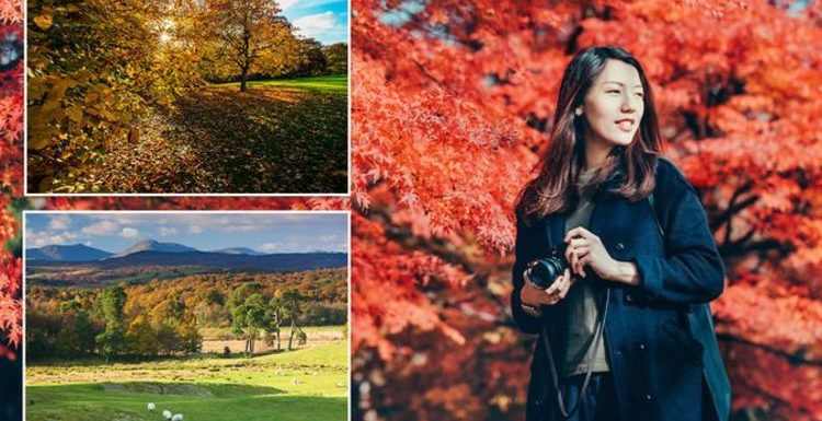 Eight best places to spot colourful autumnal leaves as ‘leaf-peeping’ season begins