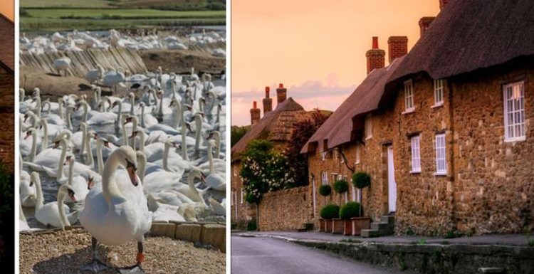 ‘Stunning’ Dorset village with world-famous attractions named one of the best in the UK