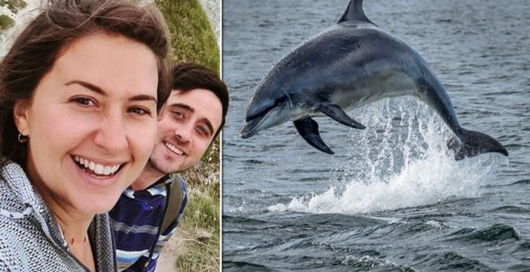 Caravan and camping spot is ‘one of the best places in the world’ to watch dolphins