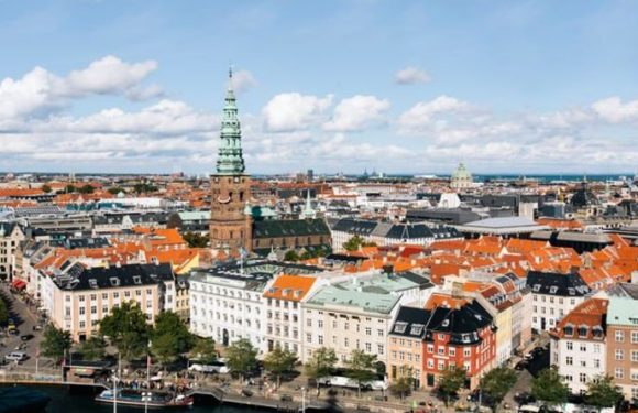 Copenhagen: Visit the elegant city with art galleries, Christmas beers and fish markets