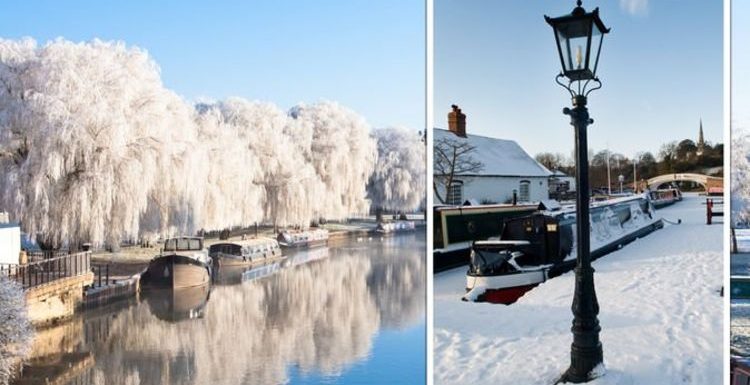 Family who spend Christmas on a boat – ‘upturned bin to stop birds pecking at the cheddar’