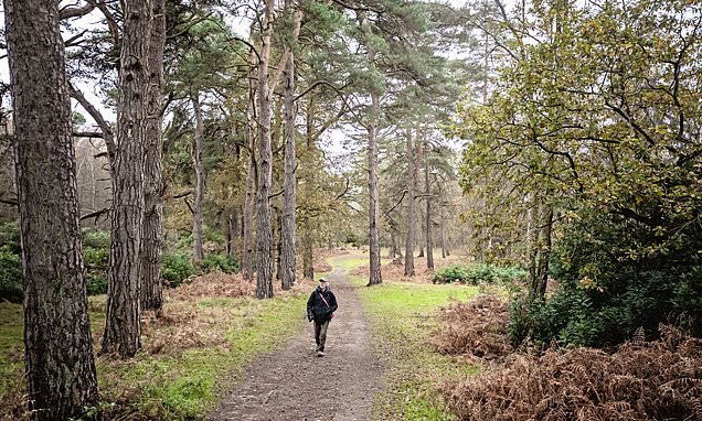 Follow in Prince William's footsteps on a Norfolk nature stroll