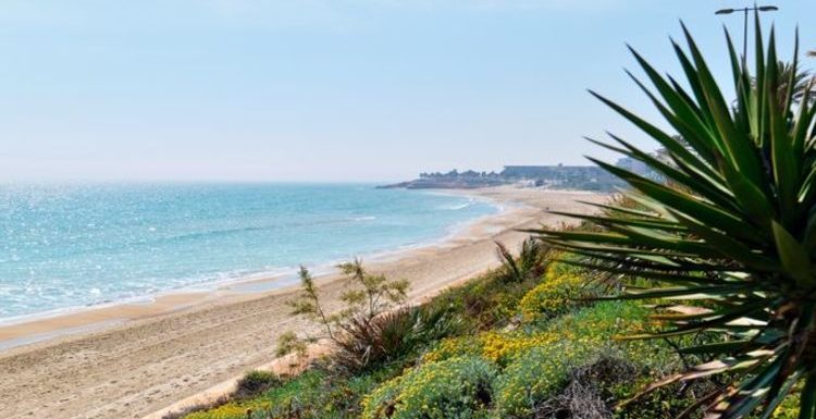 Most popular property area in Costa Blanca – ‘beautiful golden sand’