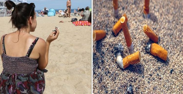 Spain to ban smoking on beaches – fines of £1,700 for tourists who break the law