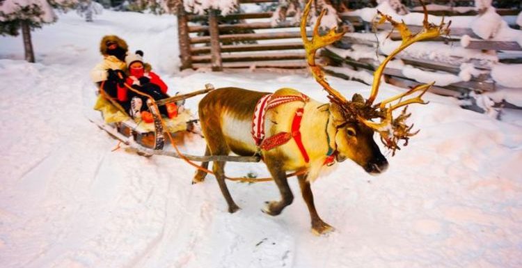 TUI saves Britons in Lapland with Covid delivery as hundreds of families stuck in Finland