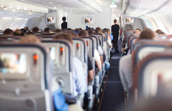 Legal petition seeks long-overdue standards for airline seats