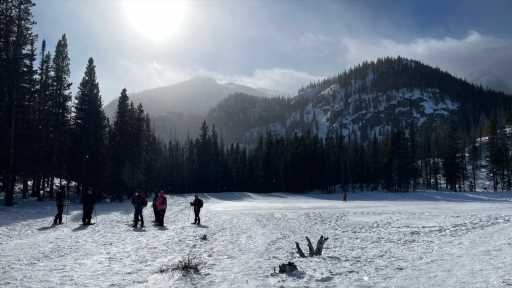 Ranger-led snowshoe hikes return to Rocky Mountain National Park in 2022