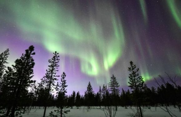 Seeing Northern Lights and travelling on Orient Express top Brits’ post-Covid bucket lists