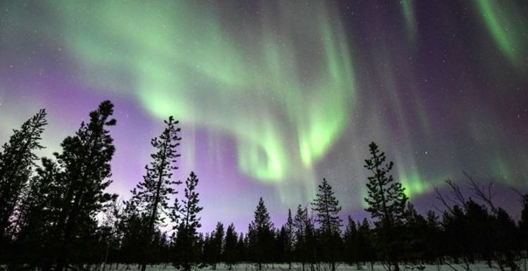 Seeing Northern Lights and travelling on Orient Express top Brits’ post-Covid bucket lists