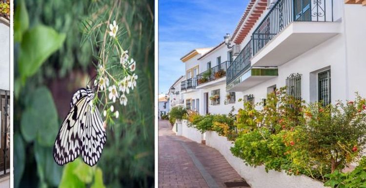 ‘Beautiful hidden gem!’: ‘Very special’ Costa del Sol site named best attraction in Spain