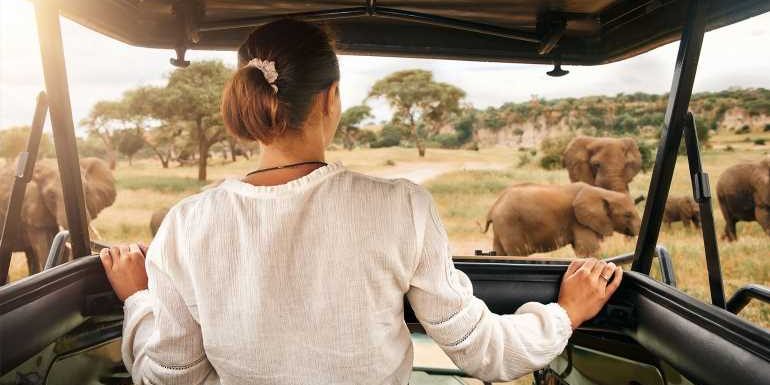 Great Safaris and Goway Travel go their separate ways