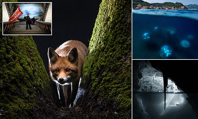 Images from shortlisted pros in the 2022 Sony World Photography Awards