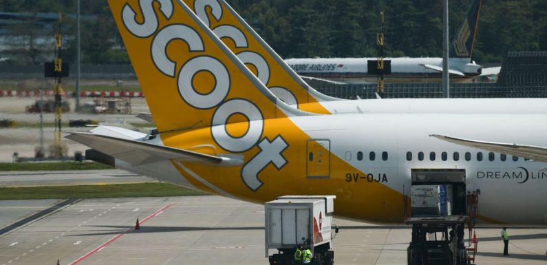 Airline with kids are banned zone launches flights to Thailand from £192