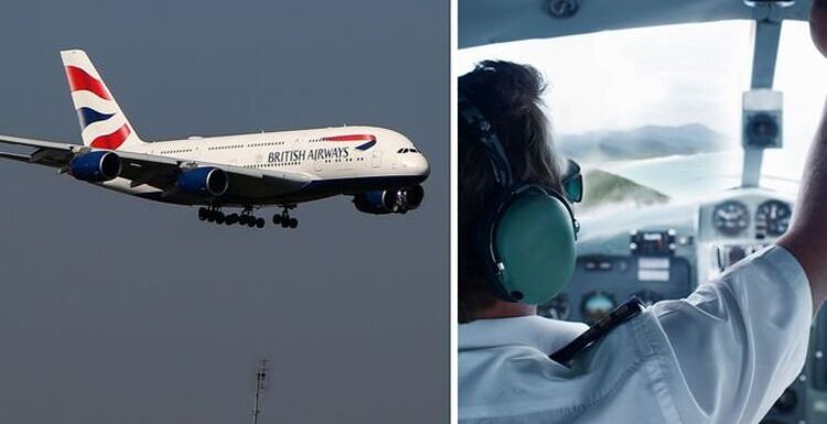 British Airways pilots forced to use ‘their personal phones’ amid IT outage ‘chaos’