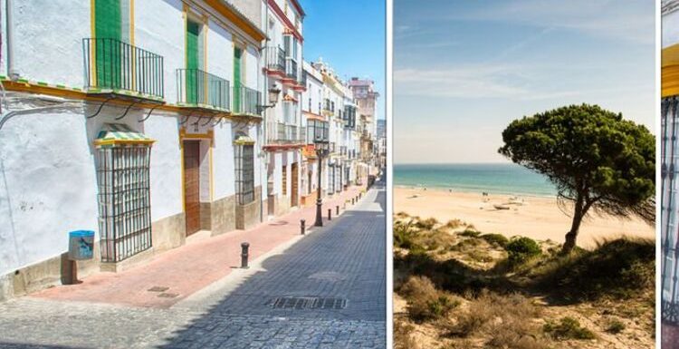 British expats: Spain’s cheapest cities for property – including expat hotspot Alicante