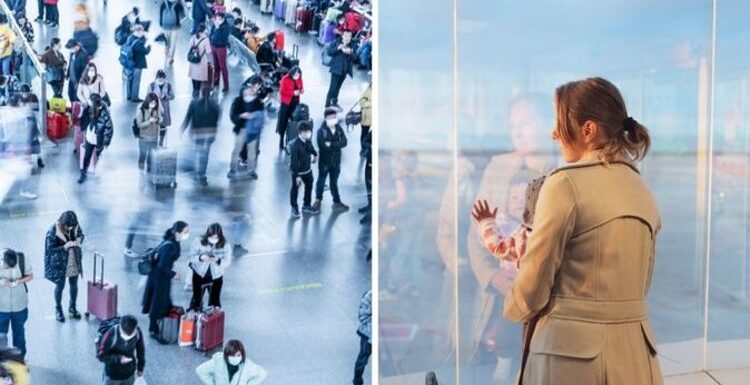 Chaos ensues for tourists at Tenerife South airport ‘enormous queues’