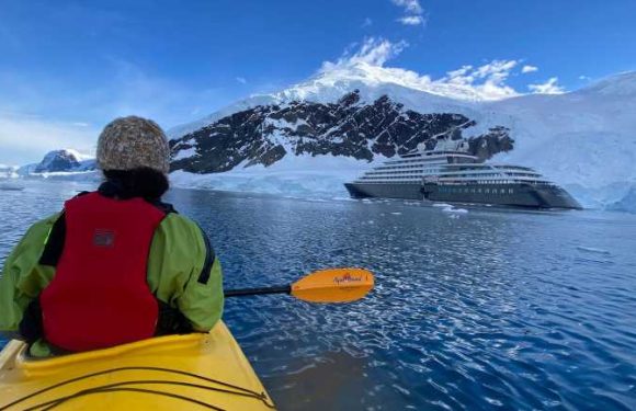 Paddling among the penguins on a kayaking tour in Antarctica: Travel Weekly