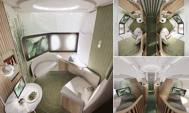 Pictured: The aircraft cabin that looks like a living room in the sky