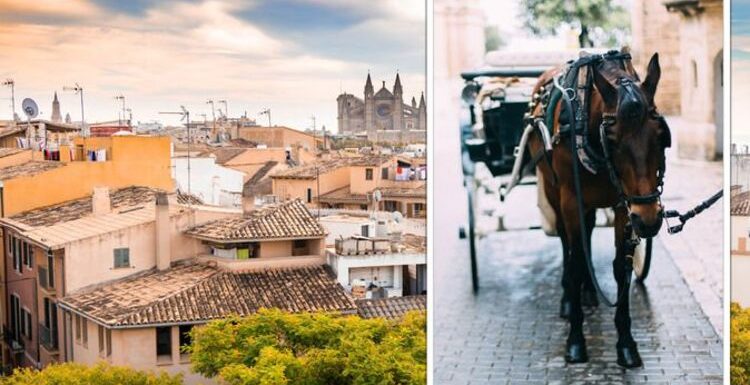 Spain holidays: Calls to abolish tourist horse carriage rides in Majorca – ‘exploitation’