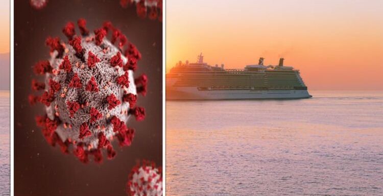 Cruise holidays: Avoid the agony of norovirus by drinking ‘carbonated’ water