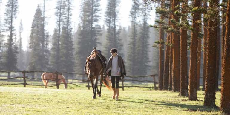 Hawaii hotels are offering updated wellness programs: Travel Weekly