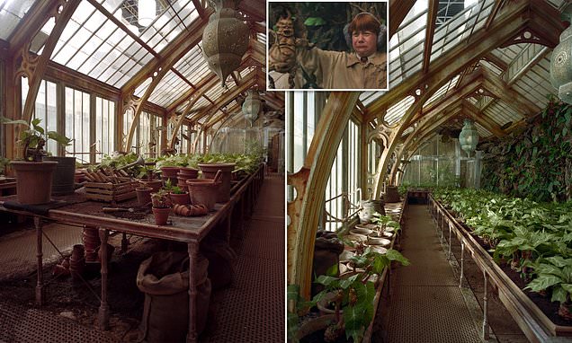 Professor Sprout's greenhouse to open at the Harry Potter Studio Tour