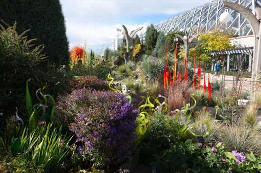 Denver Botanic Gardens is the place to take people visiting Denver this spring
