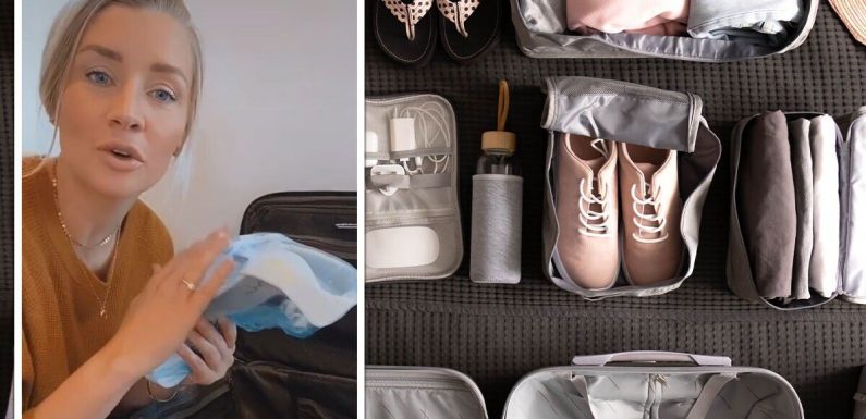 Flight attendant shares why ‘disposable hairnets’ are useful way to pack – ‘Always carry’