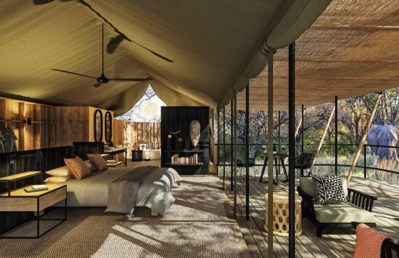 Intimate luxury safari camp opens in Botswana: Travel Weekly