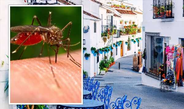 Spain holiday warning: Costa del Sol faces deadly mosquito alert – affected areas