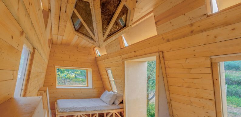You can stay in terrifying Airbnb where you’re hummed to sleep by 1 million bees