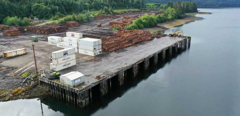 Alaska Native groups are building a cruise port in Klawock: Travel Weekly