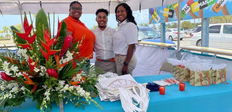 Anguilla tourism minister paints a rosy picture for travel: Travel Weekly