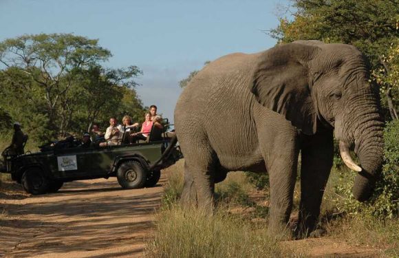 South Africa drops all Covid restrictions, and its travel industry celebrates: Travel Weekly