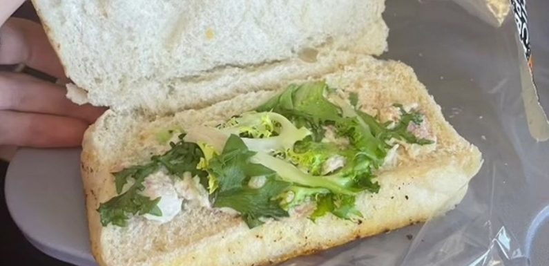 Woman ‘done dirty’ by Jet2 food served sandwich stuffed with handful of lettuce
