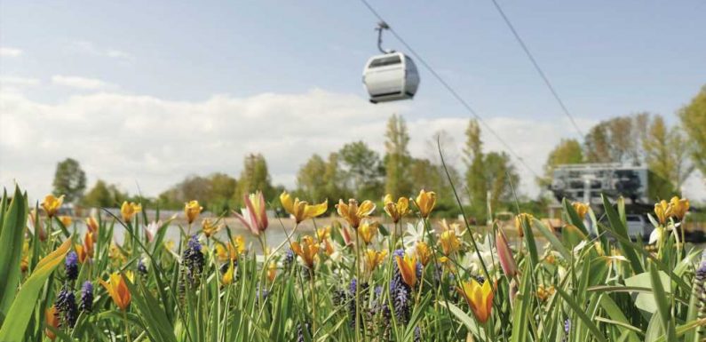 A Floriade river cruise grows in the Netherlands: Travel Weekly