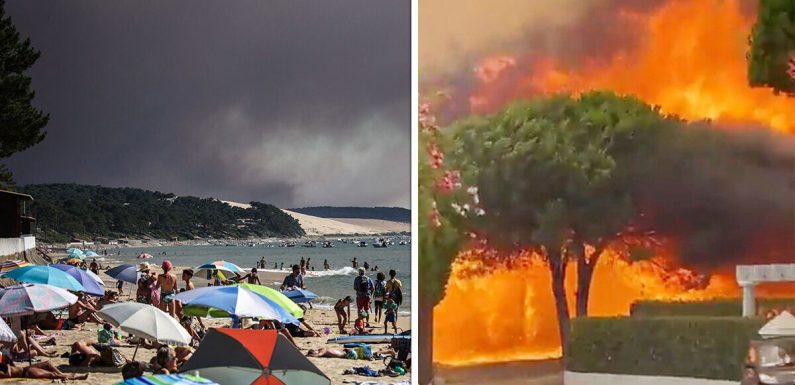 Algarve safe right now? Travel warning as Algarve goes up in flames in horror wildfires