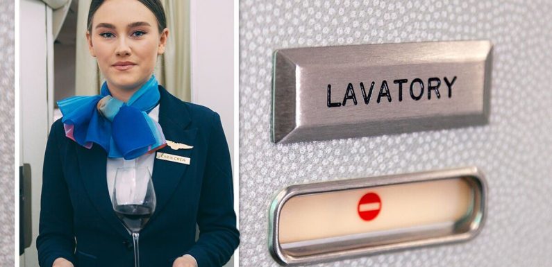 Flight attendant shares ‘secret’ behind ‘no smoking sign on the bathroom door’