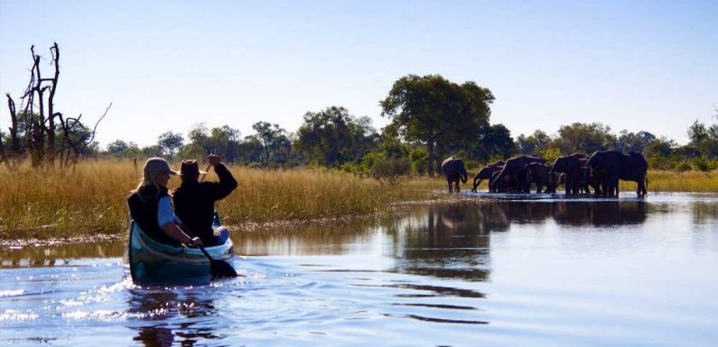 Great Plains opens safari camp in Botswana's Selinda Reserve: Travel Weekly