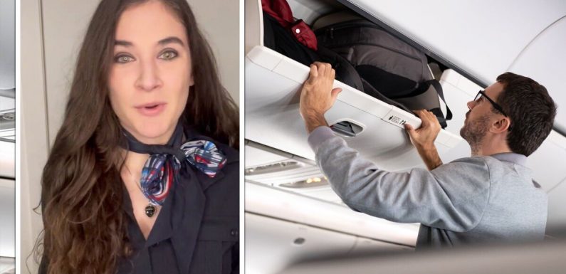 How to ‘ruin a flight attendant’s day’: Don’t ask for help with bags – ‘not getting paid’