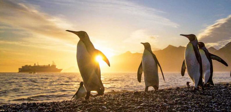 Lindblad Expeditions unveils a series of longer cruises: Travel Weekly