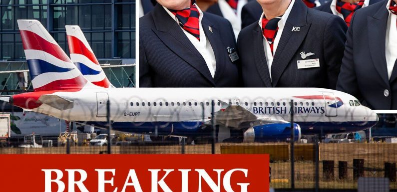 ‘No one wanted a summer strike’ BA workers call off strike and accept pay deal