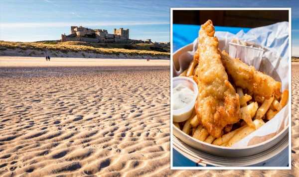UK heatwave: Region with the best fish and chips in Britain named – full list